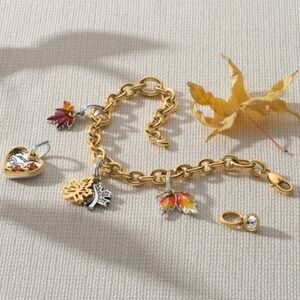 🧡 Brighton Fall Thanksgiving Charm Bracelet 7-piece Set